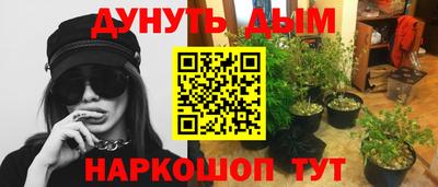 мдпв Гатчина