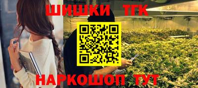 мдпв Гатчина