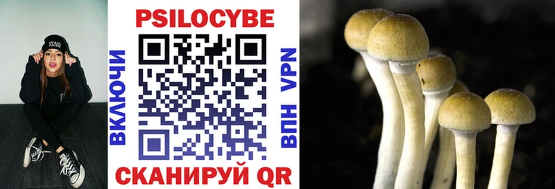 магазин  наркотиков  Тверь  Псилоцибиновые грибы Cubensis 