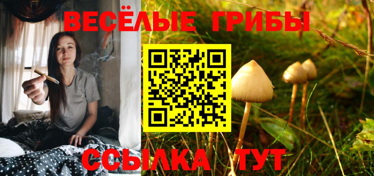 Галлюциногенные грибы мицелий Тверь