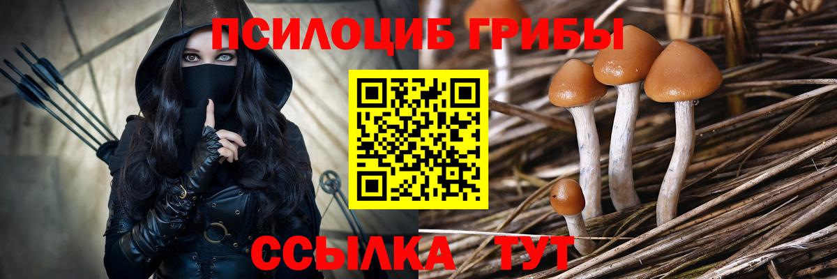 Тверь  Галлюциногенные грибы GOLDEN TEACHER  Вход с VPN  Псилоцибиновые грибы мицелий 